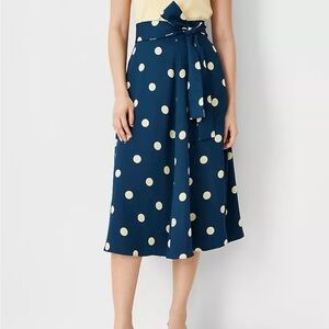 Ann Taylor Polka Dot Skirt